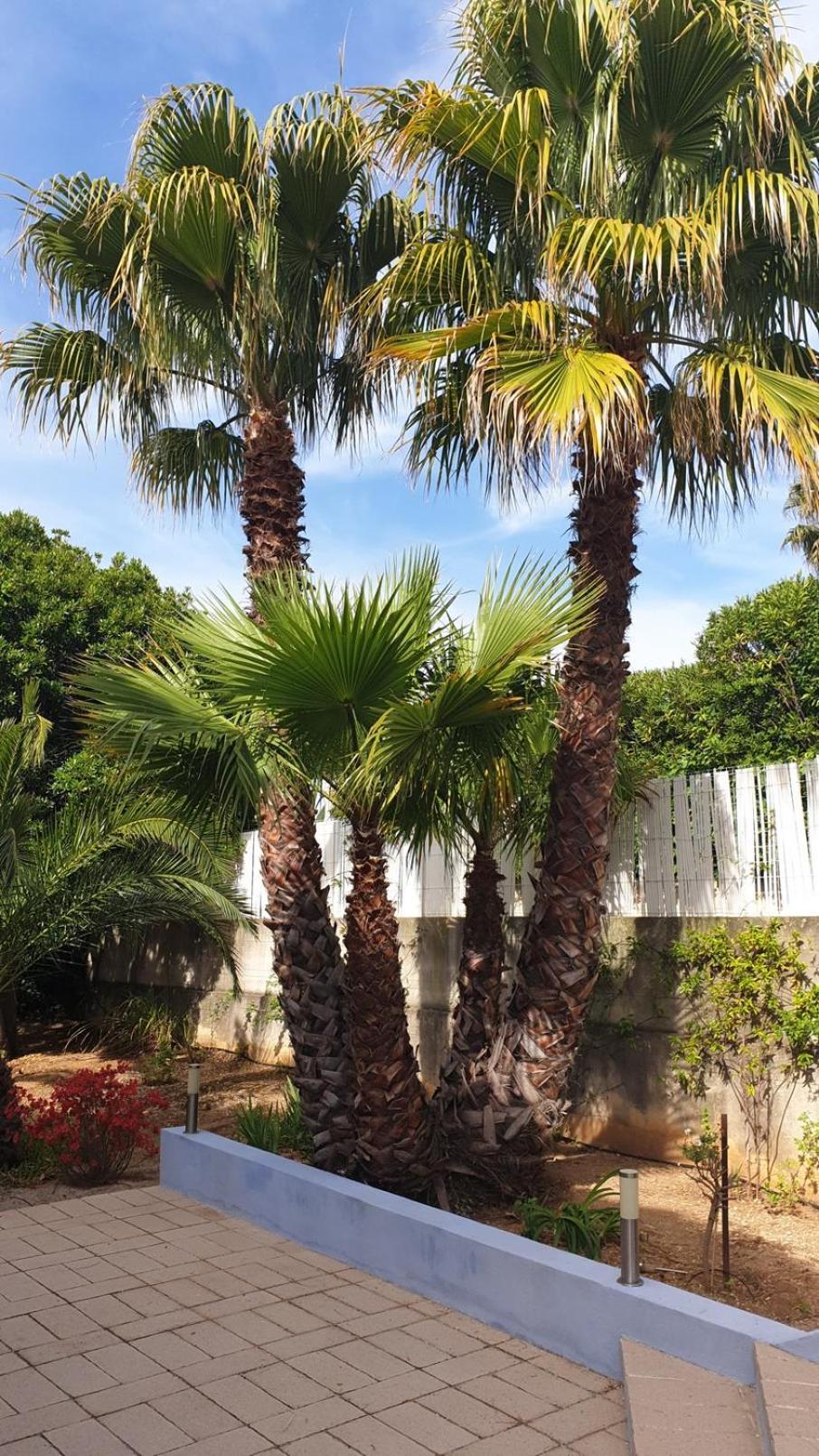 Villa Andalucia, Pisc Chauf Mai A Sept La Ciotat Kültér fotó
