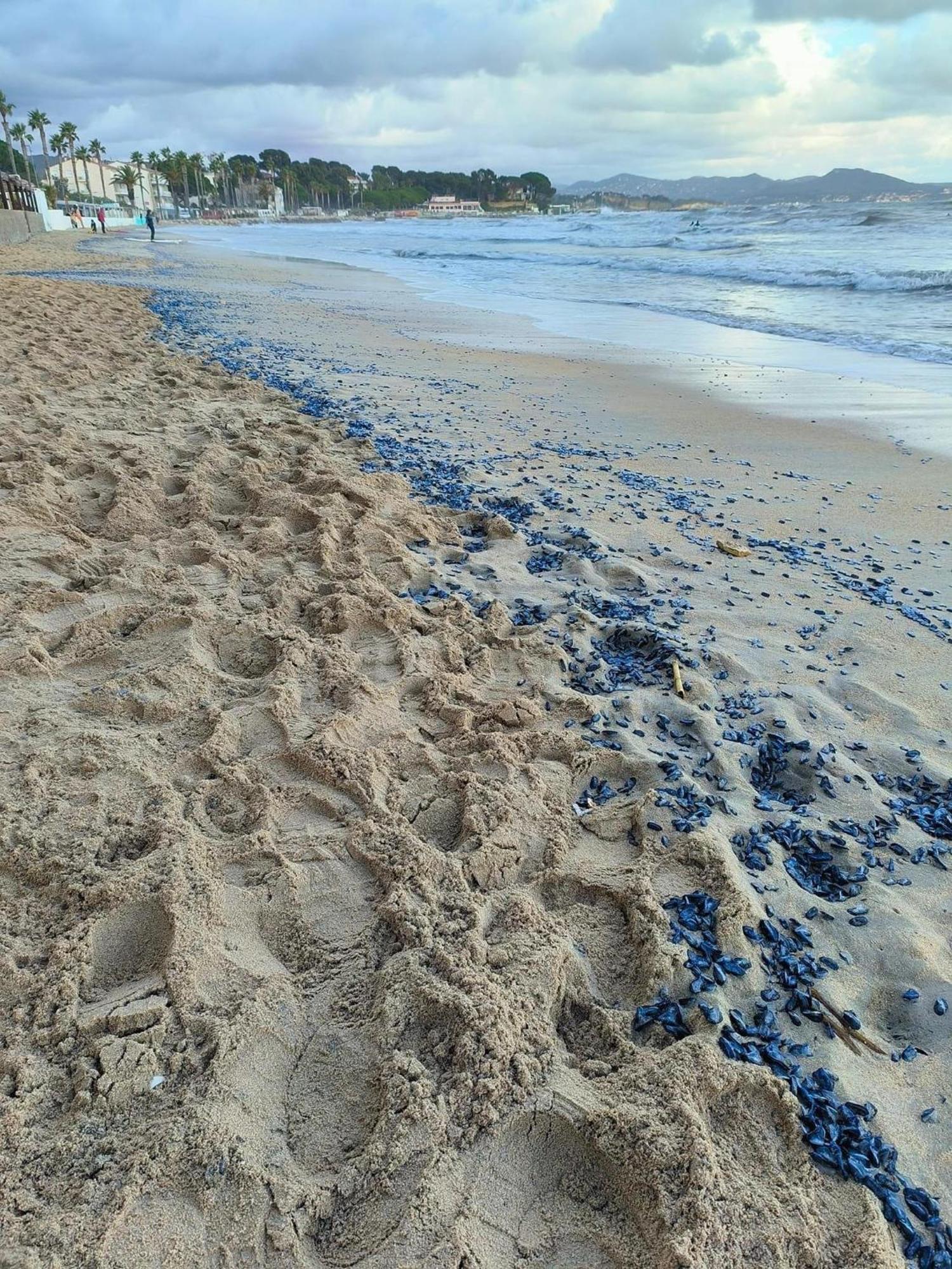 Villa Andalucia, Pisc Chauf Mai A Sept La Ciotat Kültér fotó